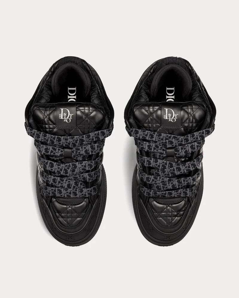 Dior B9S Skater ERL